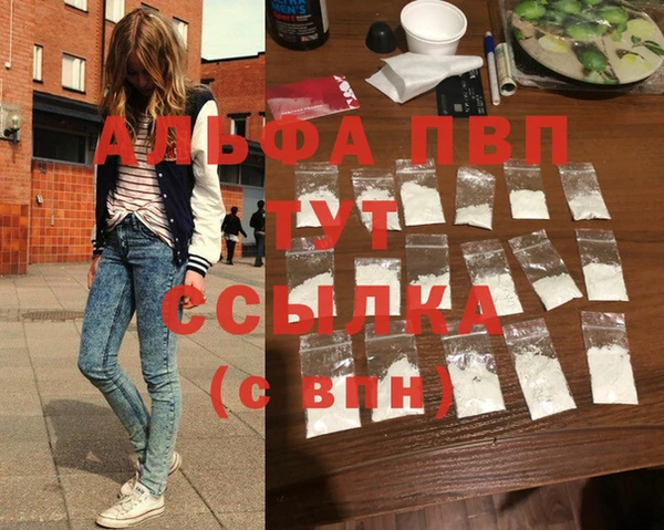 индика Нягань