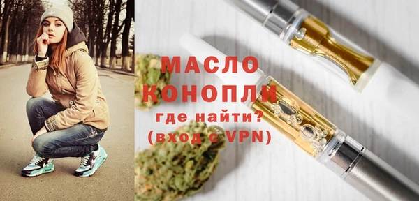 индика Нягань