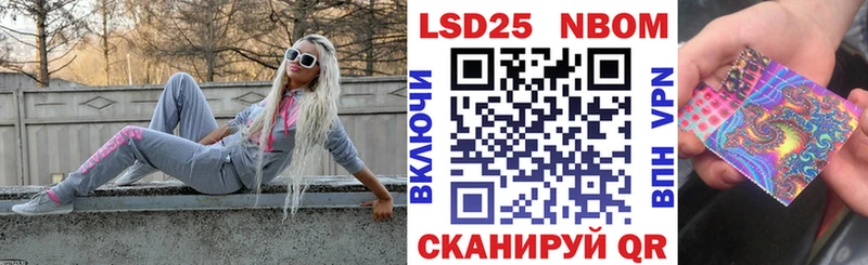 Марки N-bome 1,8мг закладки Питкяранта