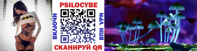 Псилоцибиновые грибы GOLDEN TEACHER  кракен ТОР  Питкяранта 
