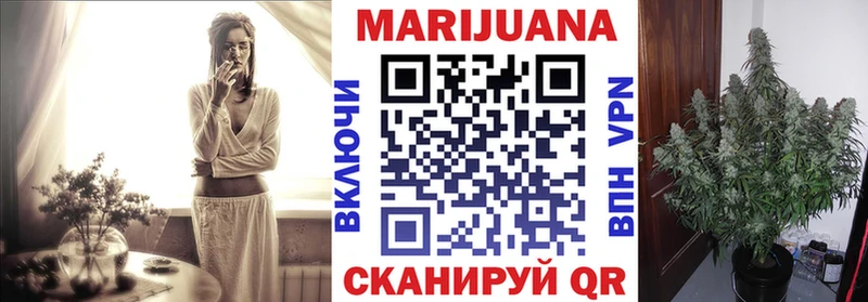 кракен как зайти  Питкяранта  Бошки марихуана White Widow 